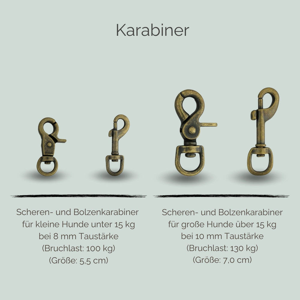 "Zwei Karabiner für kleine Hunde: Scheren- und Bolzenkarabiner mit hoher Bruchlast, ideal für die Tauleine Ahoi."