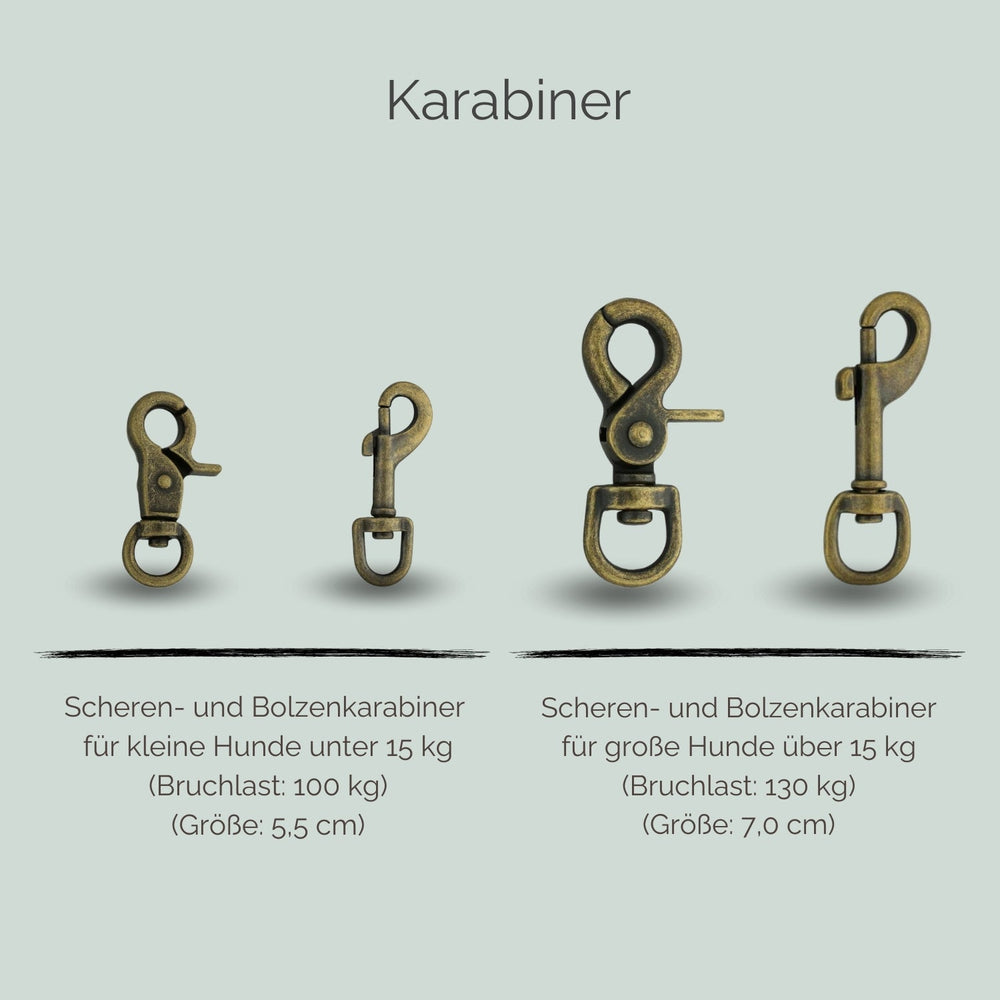 Zwei Karabiner für Hunde: Scheren- und Bolzenkarabiner, geeignet für kleine Hunde unter 15 kg, Bruchlast 100 kg.