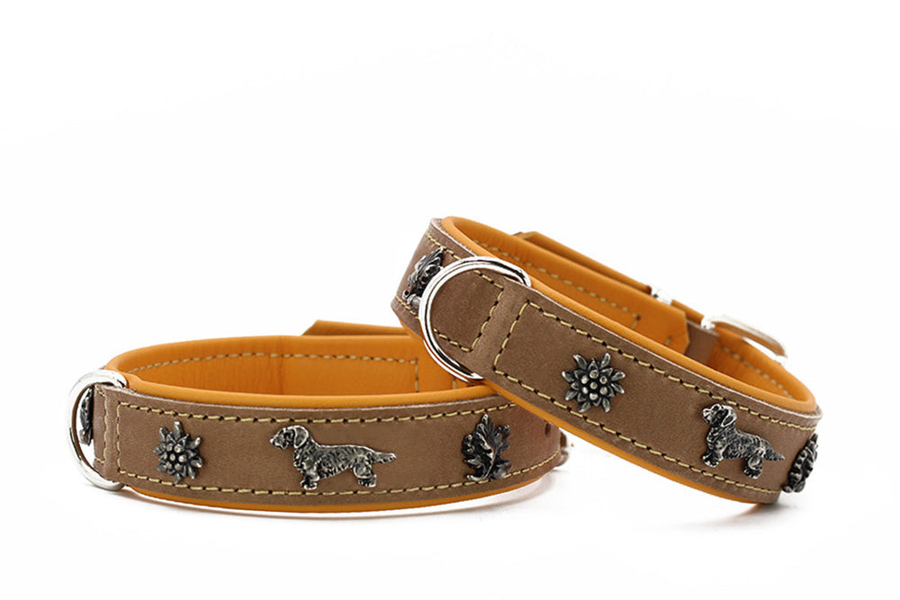 Braunes Lederhalsband für Dackel mit orangefarbenem Innenfutter und silbernen Verzierungen von Hunden und Sonnen.