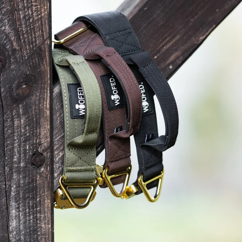 Drei leichte Nylon-Hundeleinen in olivgrün, braun und schwarz mit goldenen Karabinerhaken an einem Holzständer.