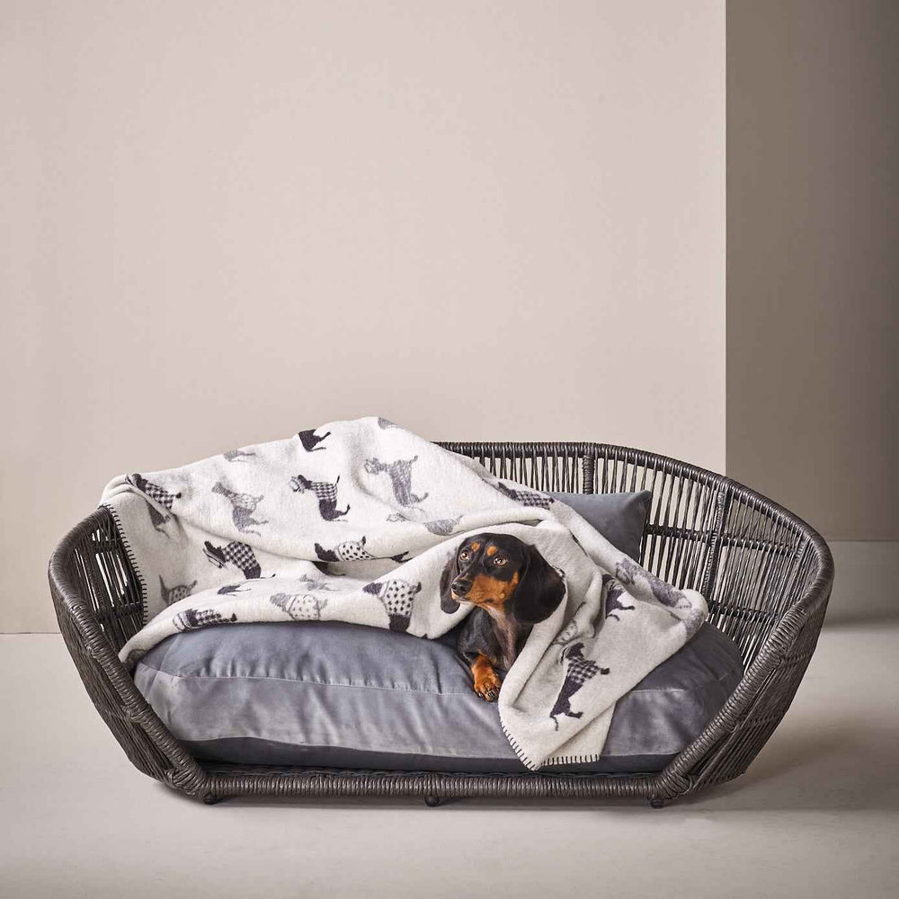 Gemütlicher Dackel auf einem Rattan-Hundebett mit einer stylischen Wendedecke im tierischen Design.