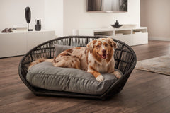 Hund auf rundem Design-Hundebett SMOOTH mit grauem Kissen, dunklem Geflecht in modernem Raum mit weißem Sideboard und Holzboden.