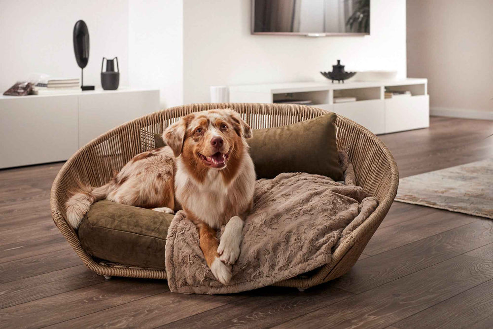 Gemütliches VOGUE Design-Hundebett OXFORD mit Rattan-Korb, Kissen und Decke, ideal für entspannte Hundemomente.