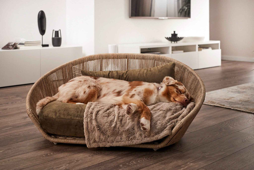 VOGUE Design-Hundebett OXFORD: stilvolles, rundes Hundebett für entspannten Schlaf im modernen Wohnambiente.