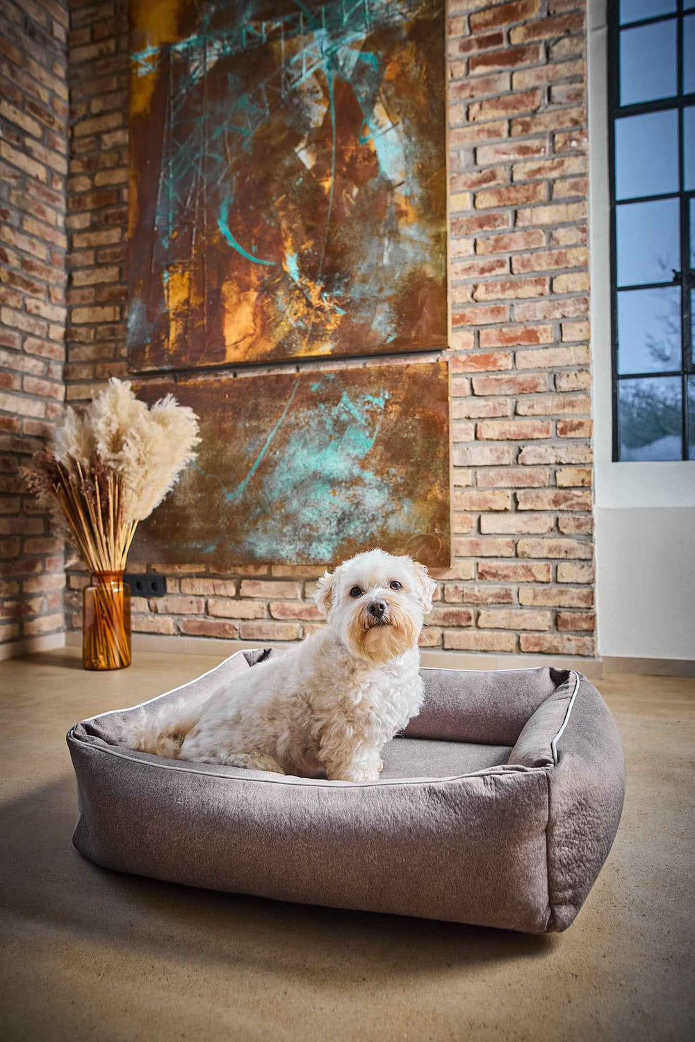 „Weißer Hund auf ORTHO Hundebett BUFFALO vor einer Ziegelsteinwand mit abstrakten Gemälden im Hintergrund.“