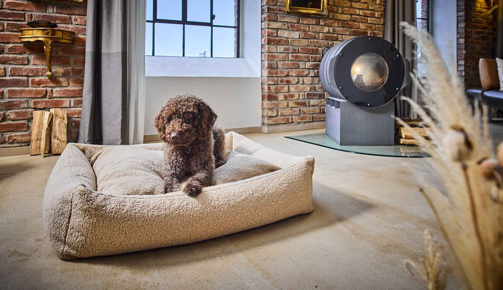 Gemütliches CLASSIC Hundebett TEDDY mit Hund in modernem Raum vor Backsteinwand und Kamin. Ideal für entspannte Hundemomente.