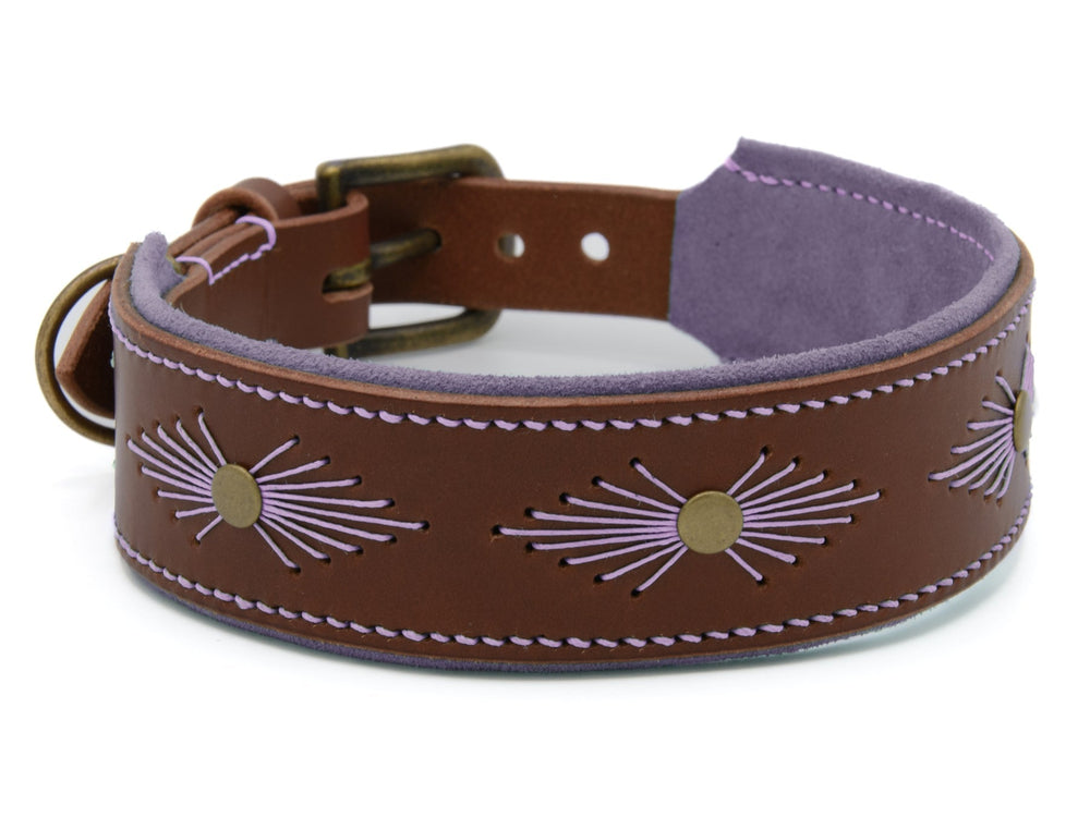 Braunes Lederhalsband für Hunde mit lila Ziernaht und goldfarbenen Knöpfen, weiches Innenfutter in Lila.