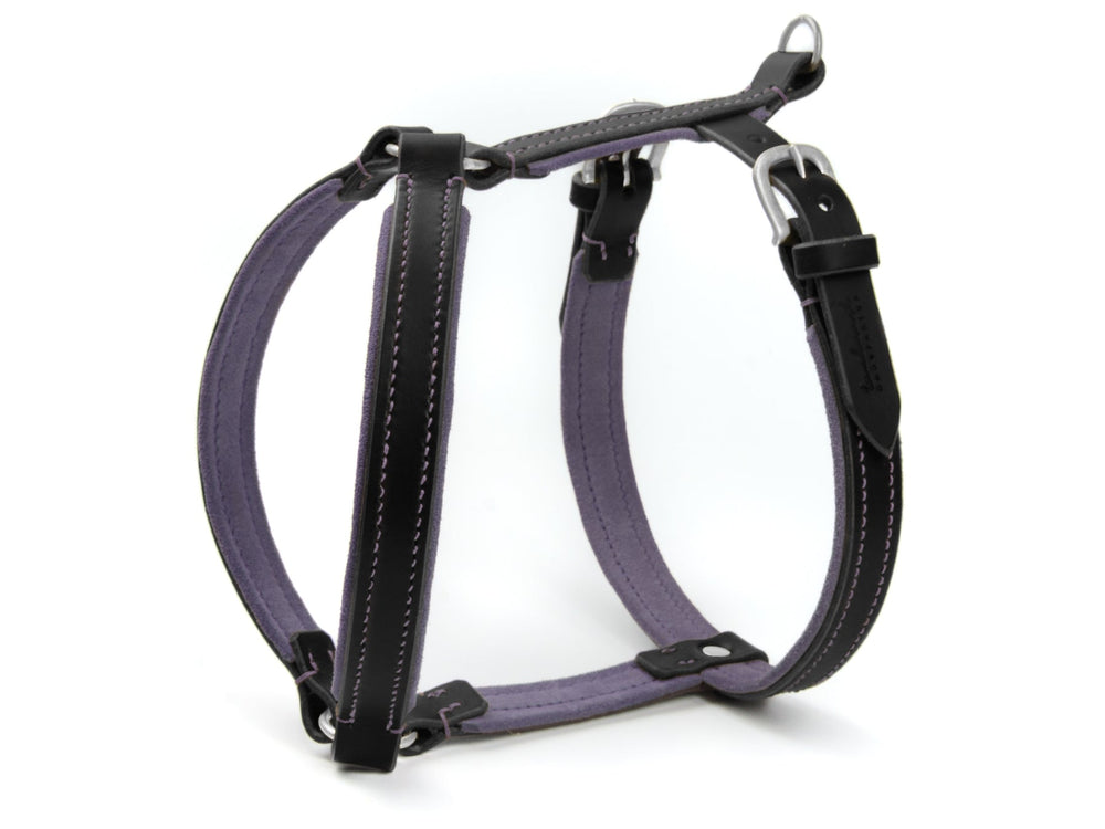 Hundegeschirr WILDFANG aus lila und schwarzem Leder mit verstellbaren Schnallen und robusten Nähten für optimalen Halt.