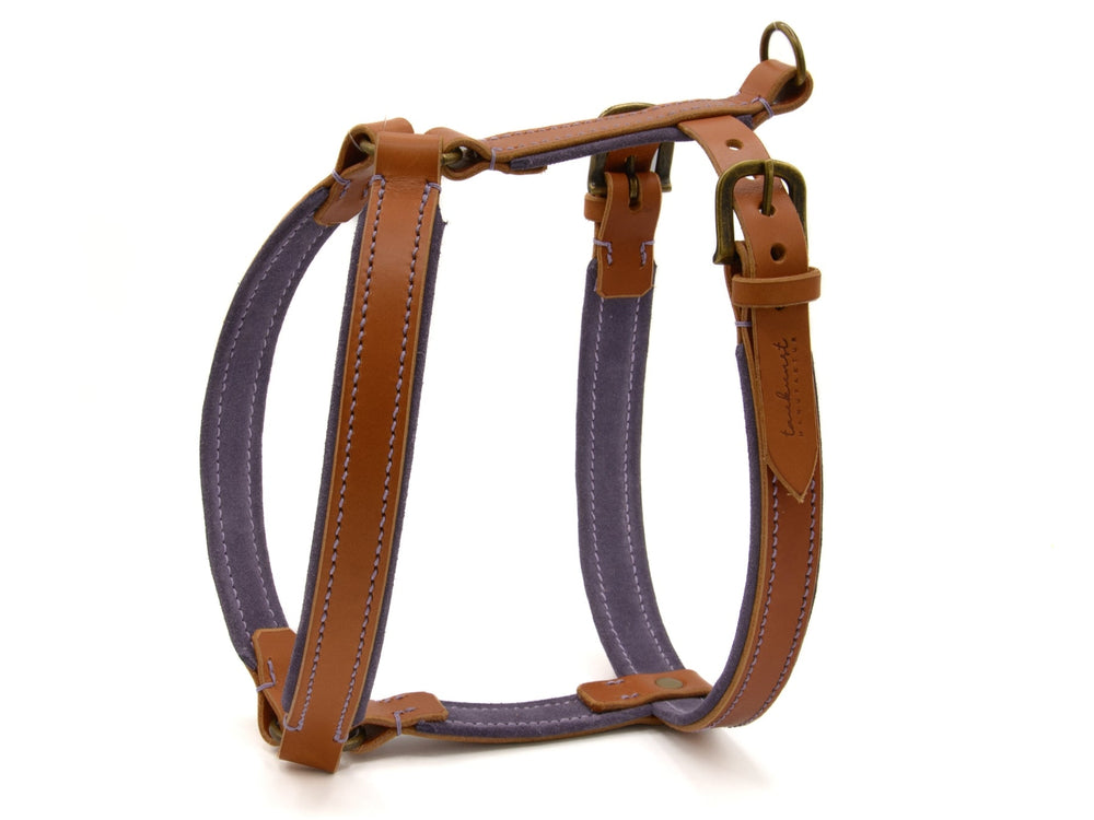 Hundegeschirr WILDFANG in lila-braunem Leder mit gepolsterten Gurten und robusten Schnallen. Ideal für Komfort und Halt.