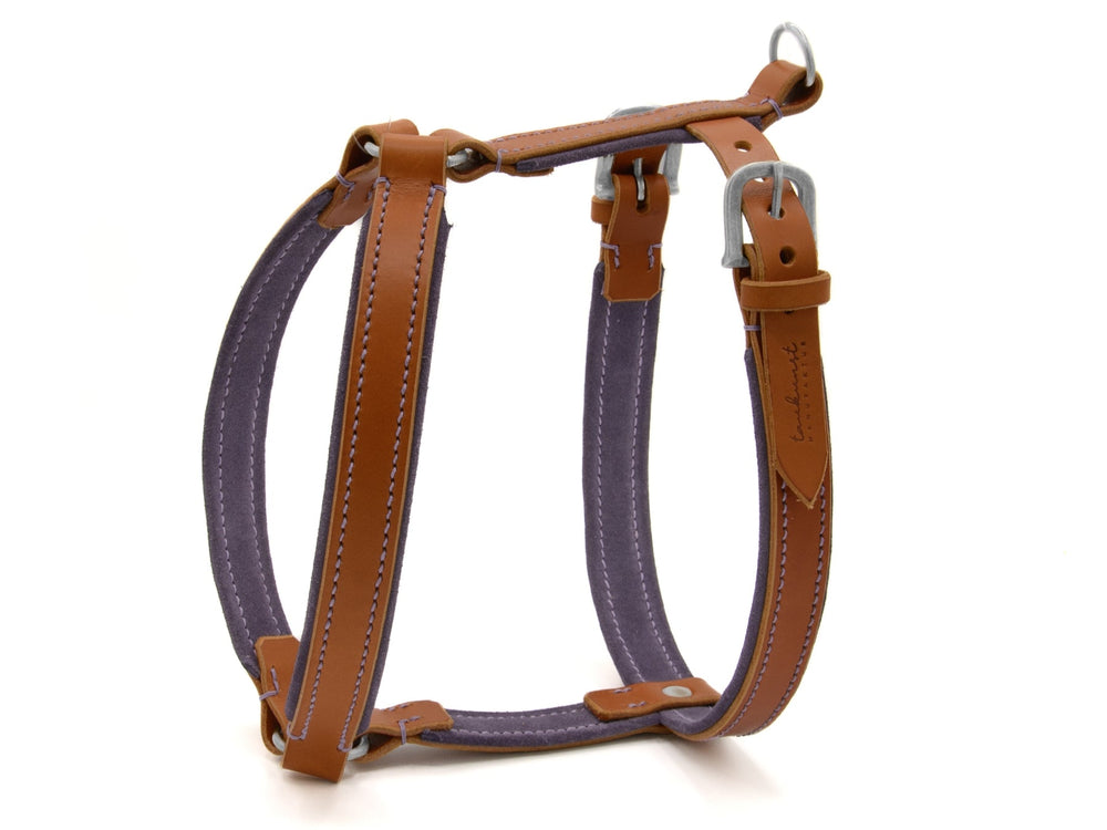 Robustes Hundegeschirr WILDFANG aus Leder mit braunen und lila Gurten sowie stabilen Metallbeschlägen.