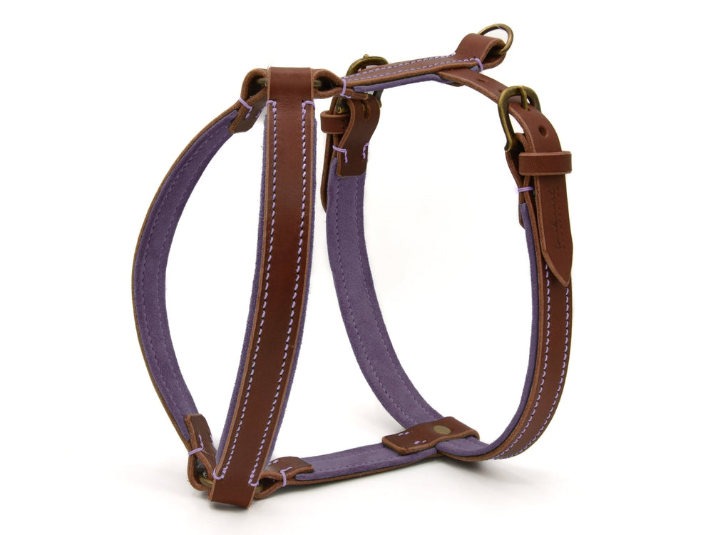 Hundegeschirr WILDFANG aus lila Textil mit braunen Lederdetails und hellen Nähten, ausgestattet mit stabilen Metallbeschlägen.