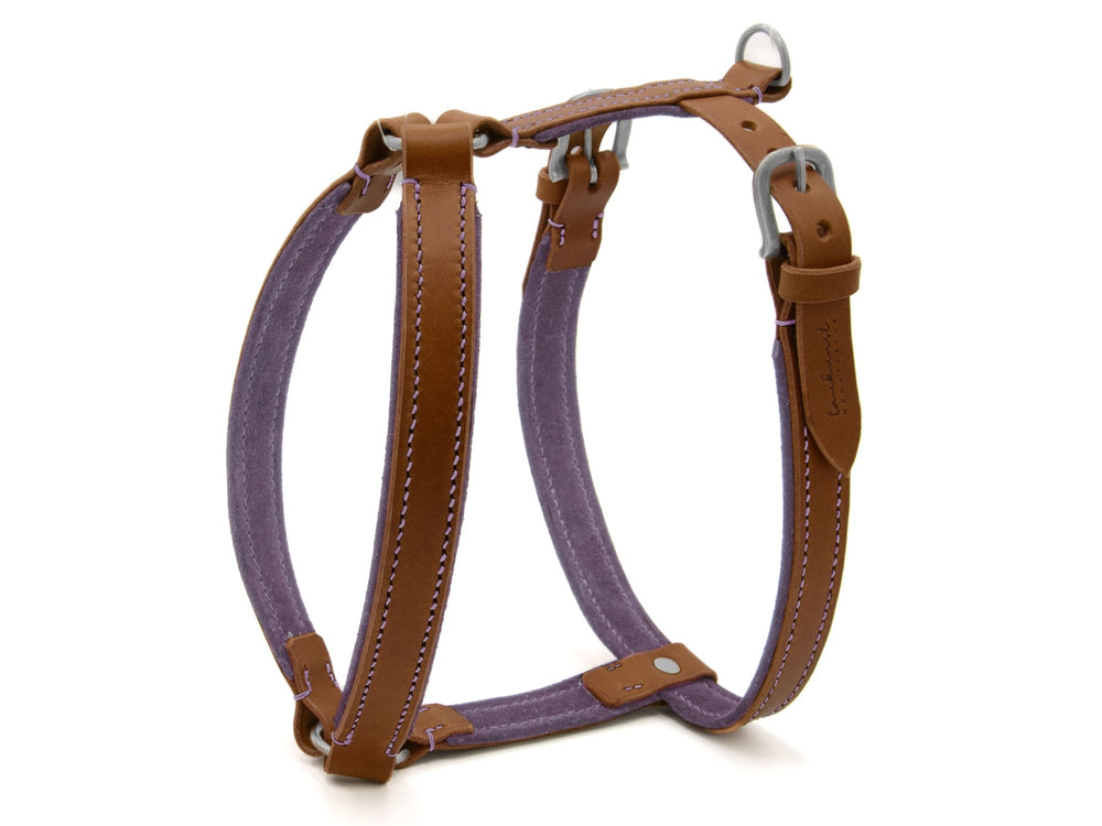 Hundegeschirr WILDFANG in lila und braunem Leder, robust und verstellbar für optimalen Komfort und Halt.