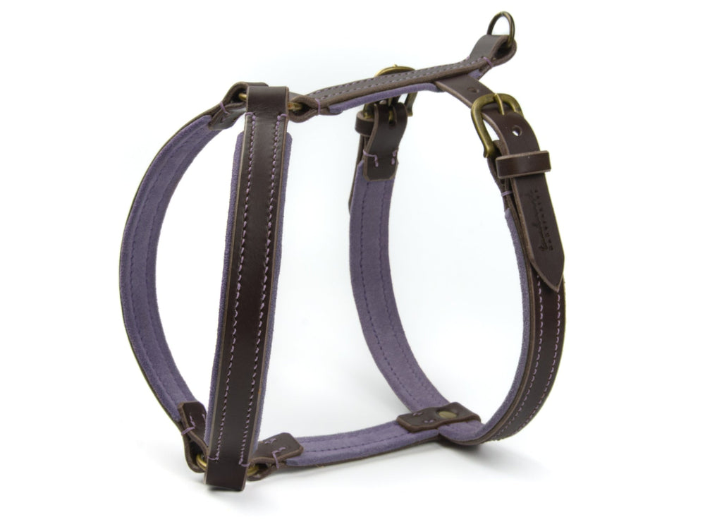 Braunes Ledergeschirr WILDFANG für Hunde mit lila Stoffeinsätzen und verstellbaren Schnallen für optimalen Sitz.