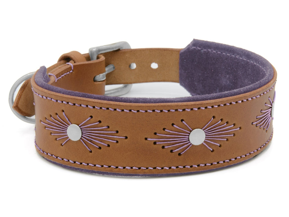Braunes Lederhalsband WOODSTOCK mit lila Stichen, runden Metall-Elementen und klassischer Schnalle für Hunde.
