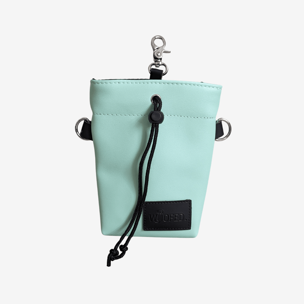 Leckerlibeutel in mintgrün aus veganem Kunstleder mit Reißverschluss und Karabinerhaken für Hundeleckerlis.