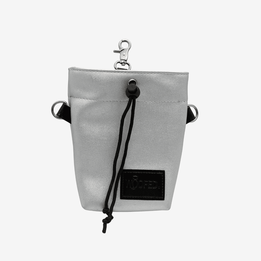 Leckerlibeutel aus silbernem Kunstleder mit Kordelzug, Karabiner und schwarzem Logo-Patch für Hundebesitzer.