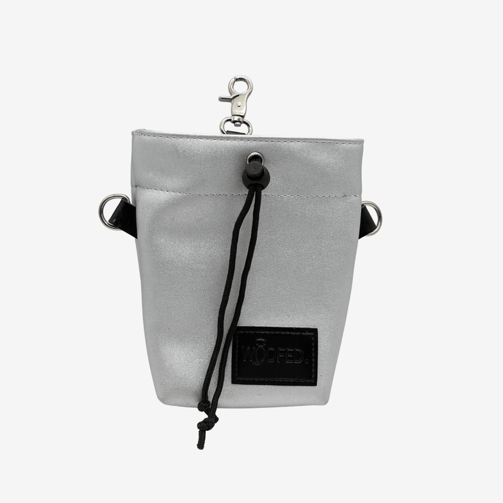 Leckerlibeutel aus silbernem Kunstleder mit Kordelzug, Karabiner und schwarzem Logo-Patch für Hundebesitzer.