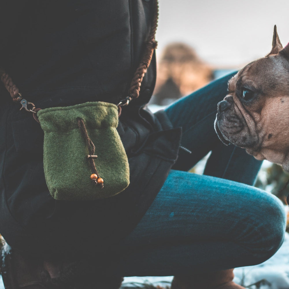 Person mit grüner Filztasche und brauner Schnur, neben ihr eine französische Bulldogge.