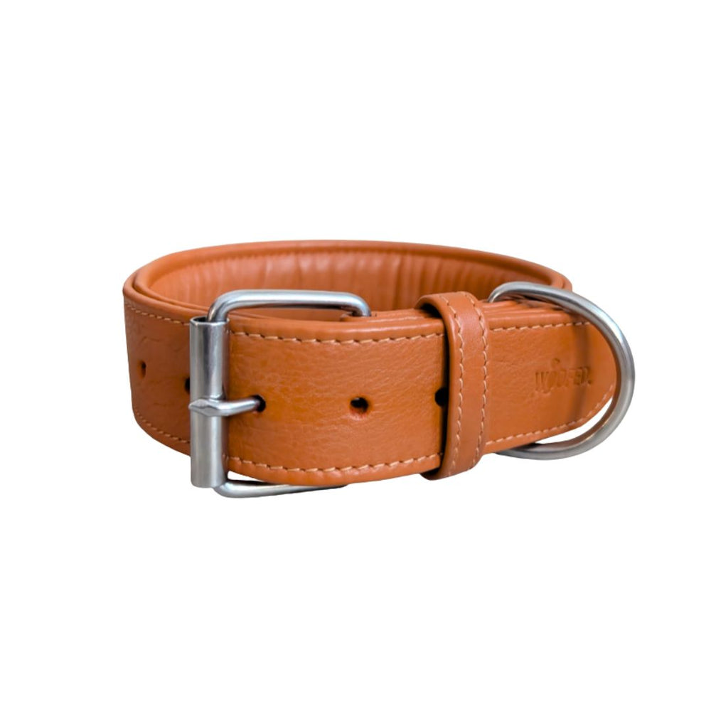 Orangefarbenes Lederhalsband Classic Soft für Hunde mit breiter, gepolsterter Innenseite und silberfarbener Schnalle.