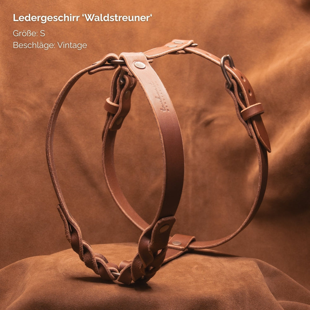 Braunes Ledergeschirr "Waldstreuner" Größe S mit Vintage-Beschlägen, hochwertig und stilvoll für deinen Hund.