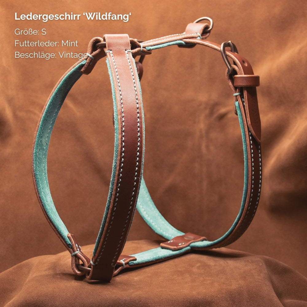 Ledergeschirr WILDFANG in Größe S mit mintgrünem Futterleder und Vintage-Beschlägen auf braunem Hintergrund.