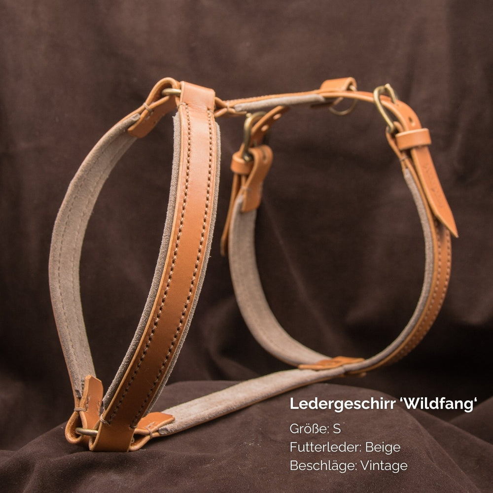 Beiges Ledergeschirr WILDFANG in Größe S mit Vintage-Beschlägen und robusten Tragegurten. Ideal für den stilvollen Gebrauch.