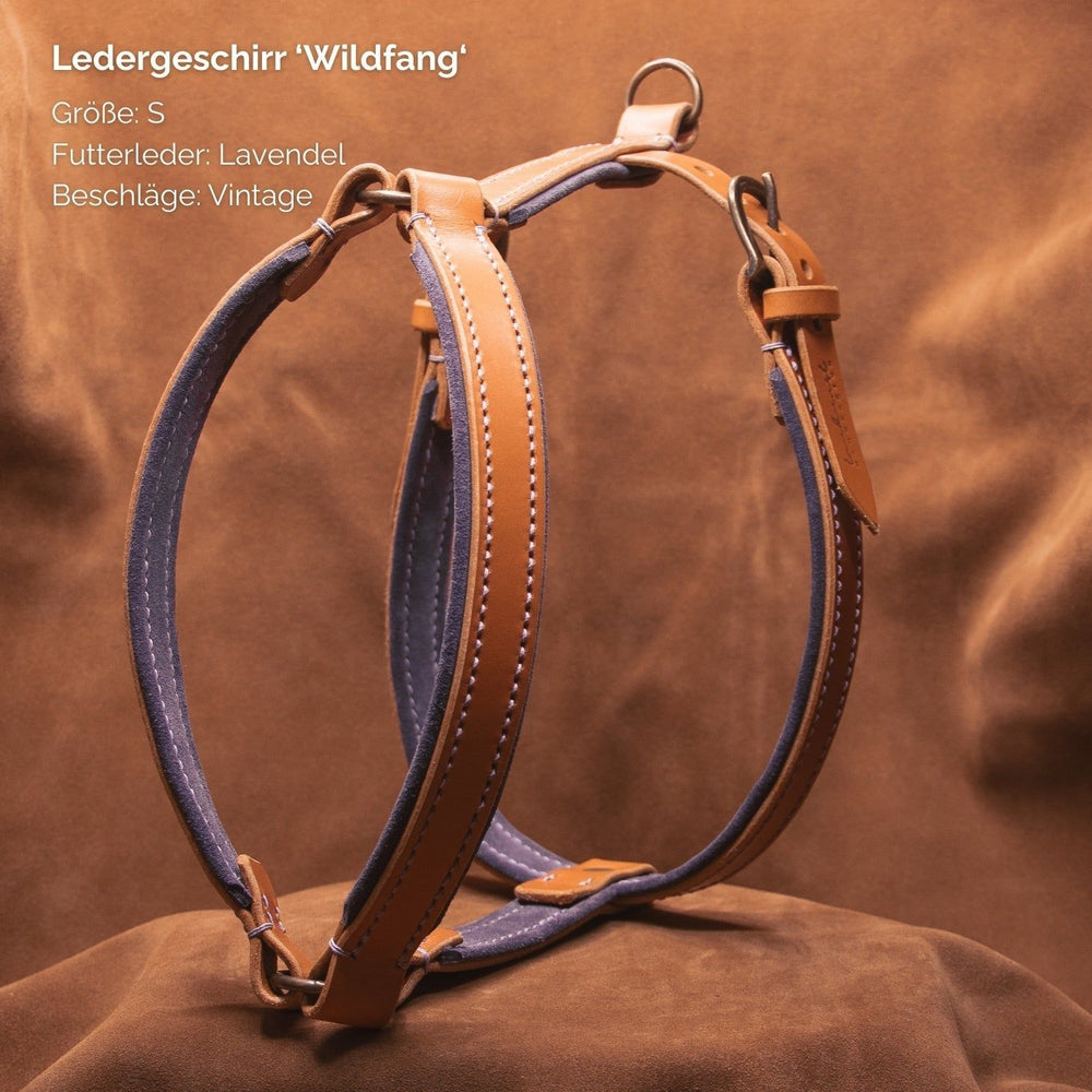 Ledergeschirr WILDFANG in Größe S mit Lavendelfutter und Vintage-Beschlägen, stilvoll und funktional für Haustiere.