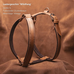 Ledergeschirr WILDFANG aus dunklem Fettleder in Größe S mit Vintage-Beschlägen auf braunem Untergrund.
