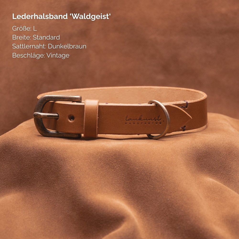 Lederhalsband „Waldgeist“ in Größe L, dunkelbraune Sattelnähte und edle Beschläge für stilvolle Hunde.