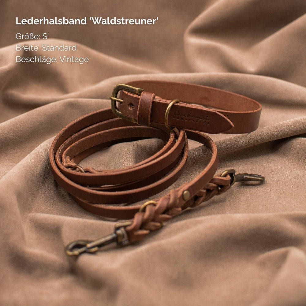 Braunes Lederhalsband "Waldstreuner" in Größe S mit Vintage-Beschlägen für Hunde.