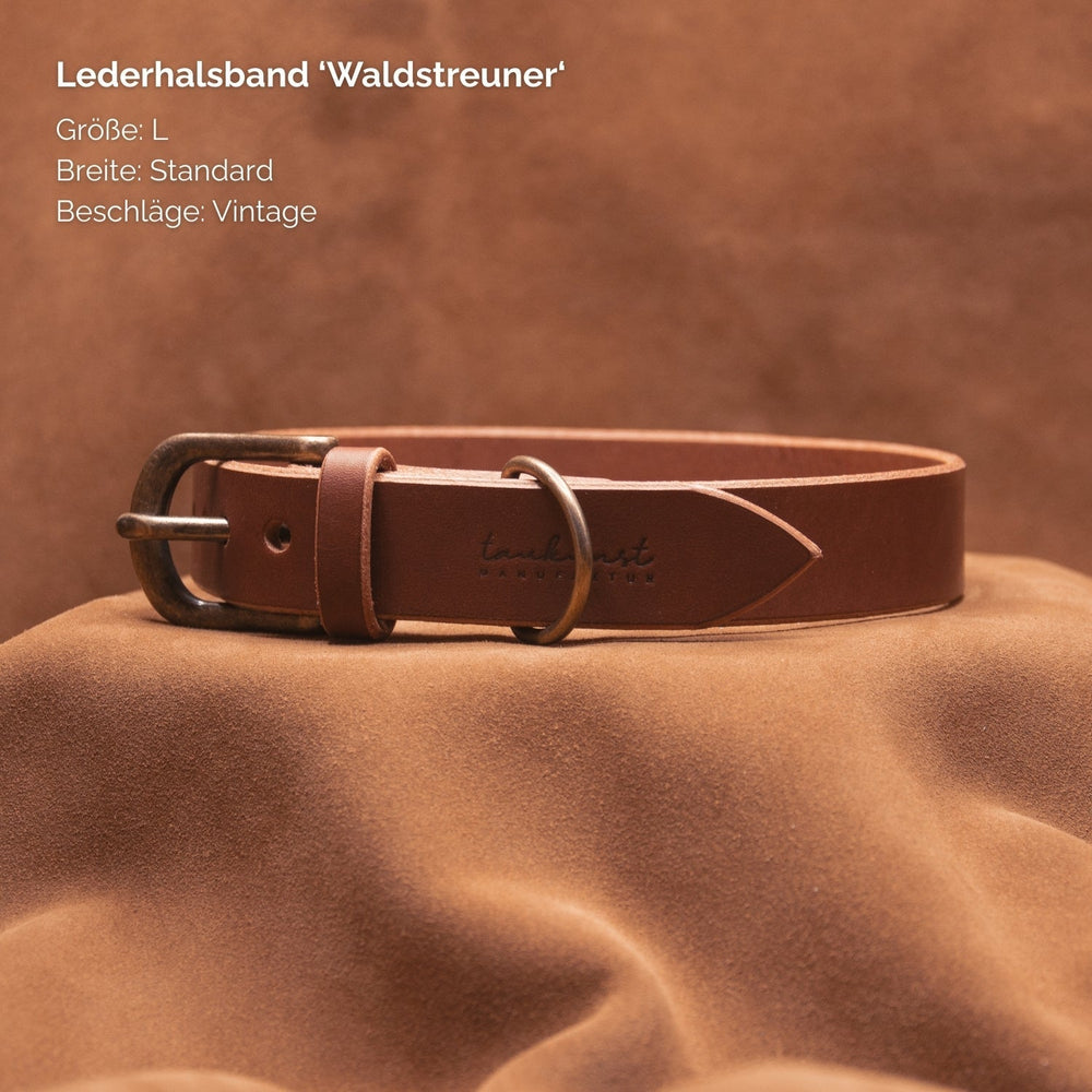 Braunes Lederhalsband „Waldstreuner“ in Größe L mit Vintage-Beschlägen auf samtigem Hintergrund. Ideal für stilvolle Hunde.
