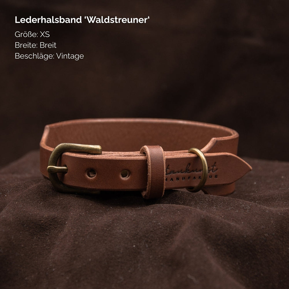Braunes Lederhalsband „Waldstreuner“ in XS, mit breiter Form und robusten Vintage-Beschlägen. Ideal für stilvolle Hunde.