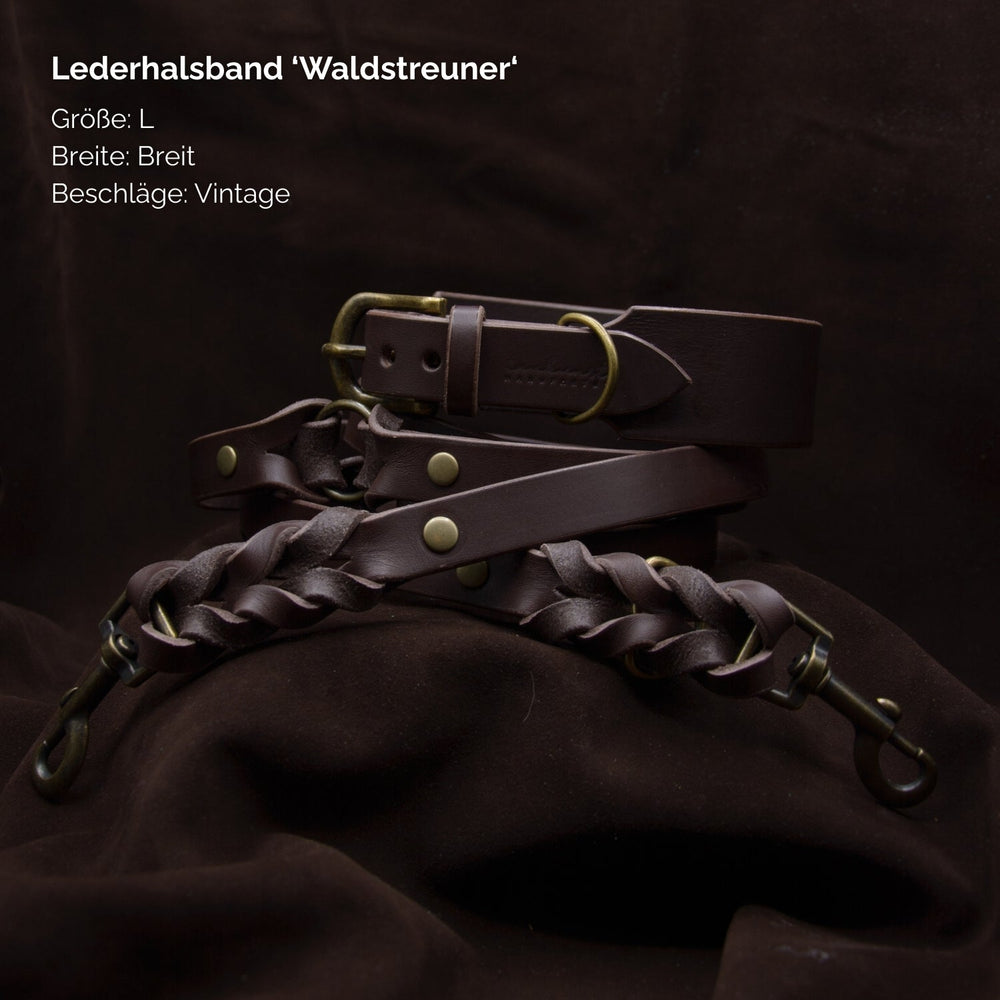 „Braunes Lederhalsband WALDSTREUNER in Größe L mit Vintage-Beschlägen für Hunde, robust und stilvoll.“