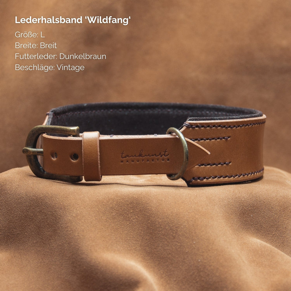 Lederhalsband „Wildfang“ in Dunkelbraun mit Vintage-Beschlägen, breiter Form und hellen Oberflächen in Größe L.