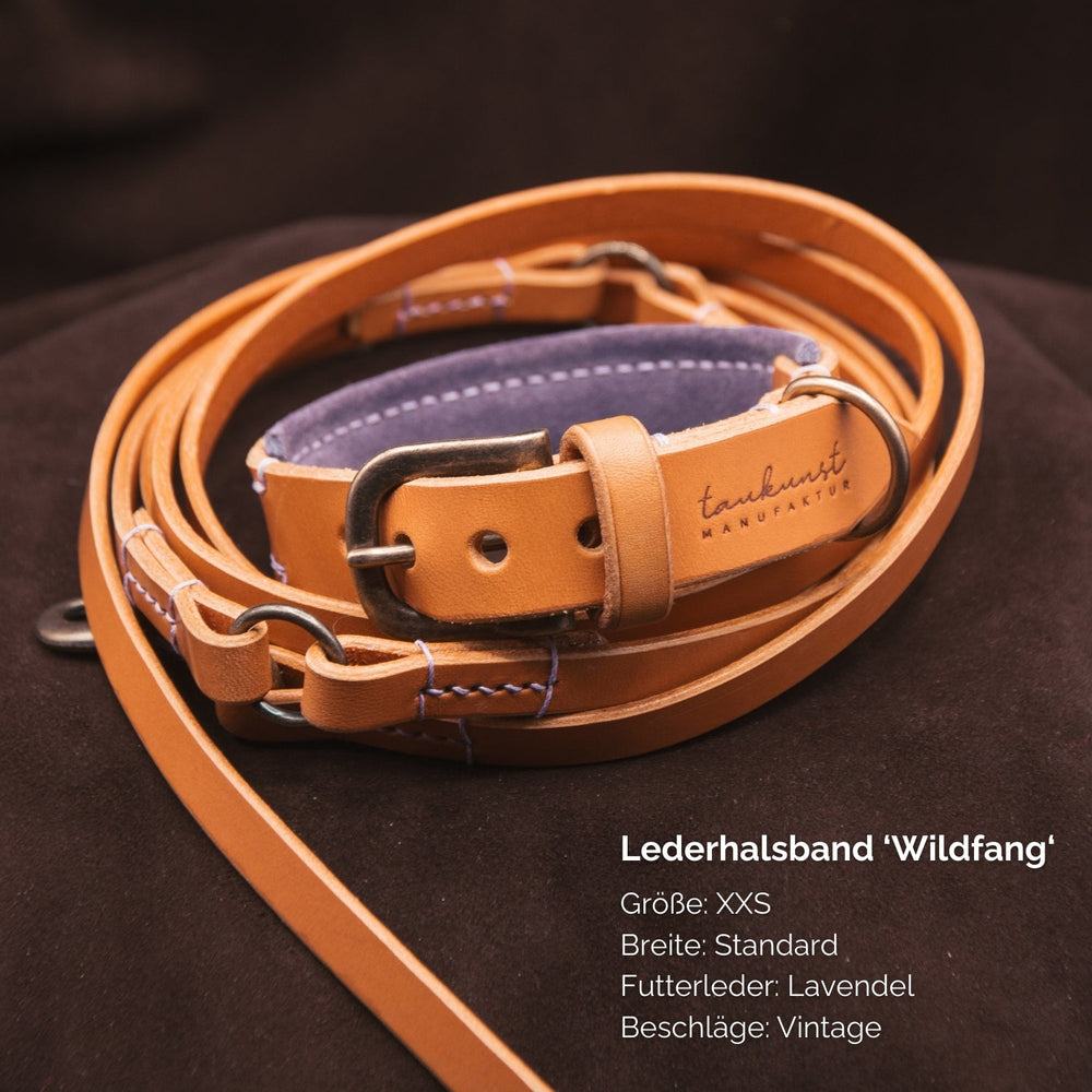 Lederhalsband „Wildfang“ in XXS, braun mit lila Lavendelfutter, stylisch und bequem für kleine Hunde.