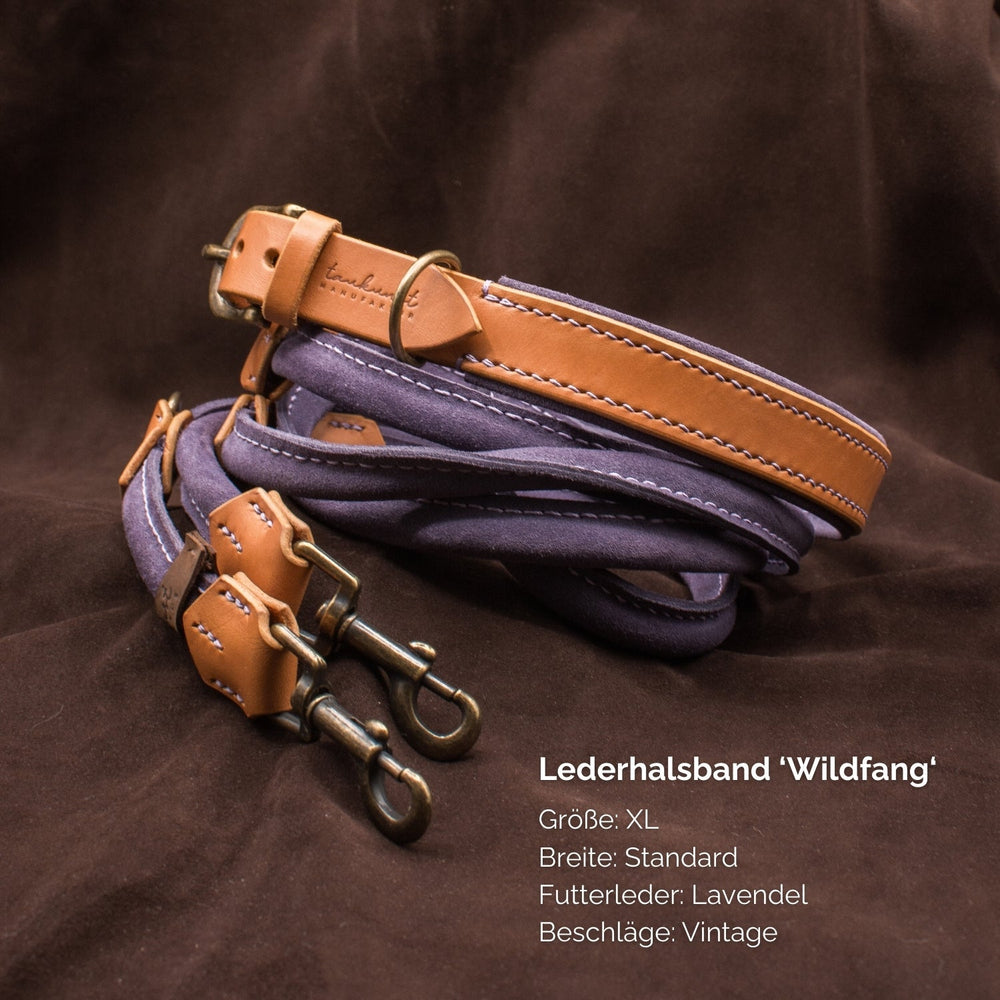 Lederhalsband "Wildfang" in XL, robustes dunkelbraunes Leder, perfekte Kombination aus Stil und Haltbarkeit.