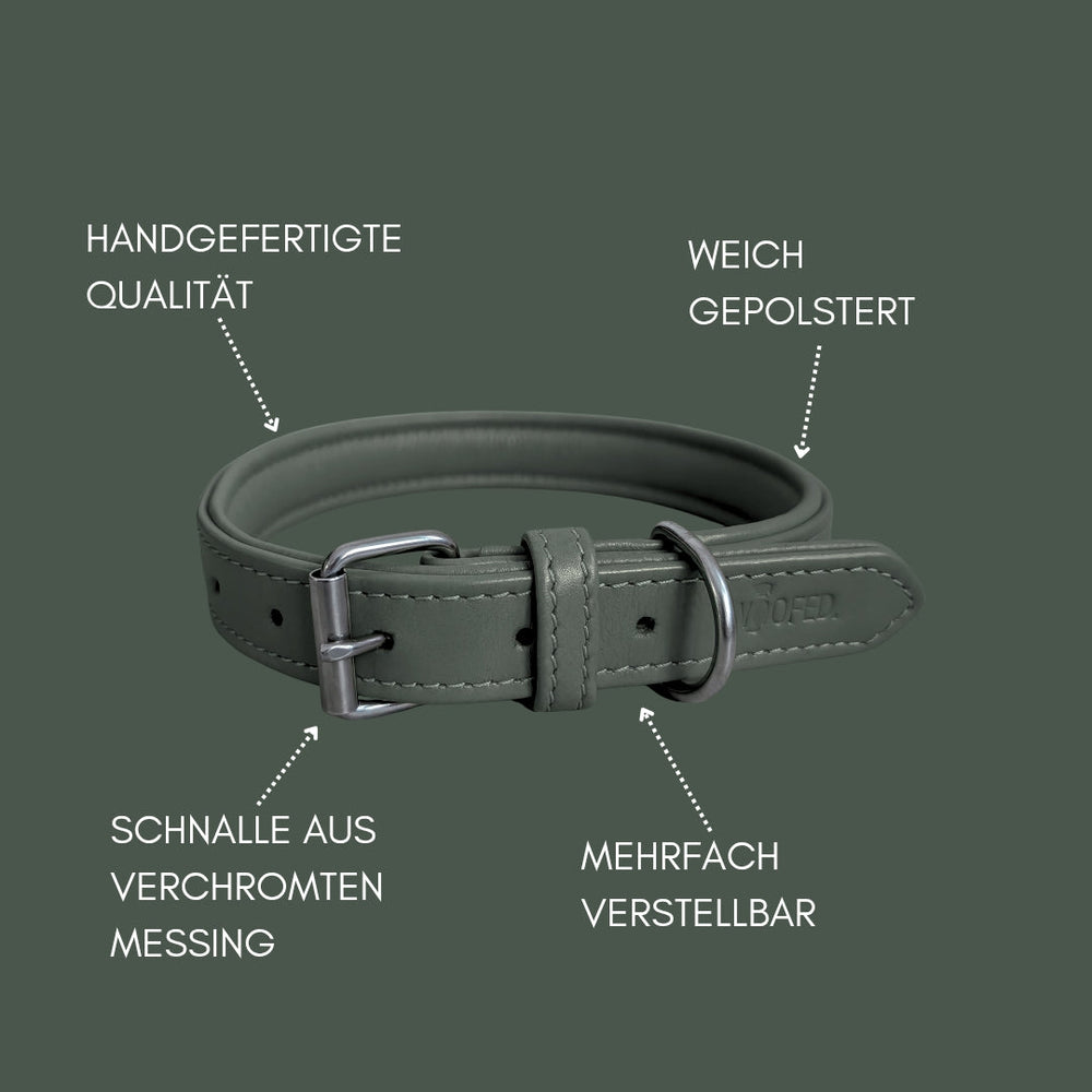 Handgefertigtes, olivgrünes Lederhalsband Classic Soft für Hunde, weich gepolstert und mit verstellbarer Schnalle aus Messing.