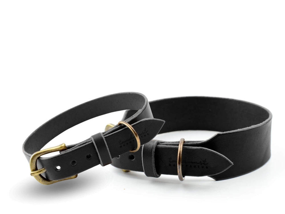 Schwarze Lederhalsbänder WALDSTREUNER mit eleganten Messingschnallen, ideal für stilbewusste Hunde.