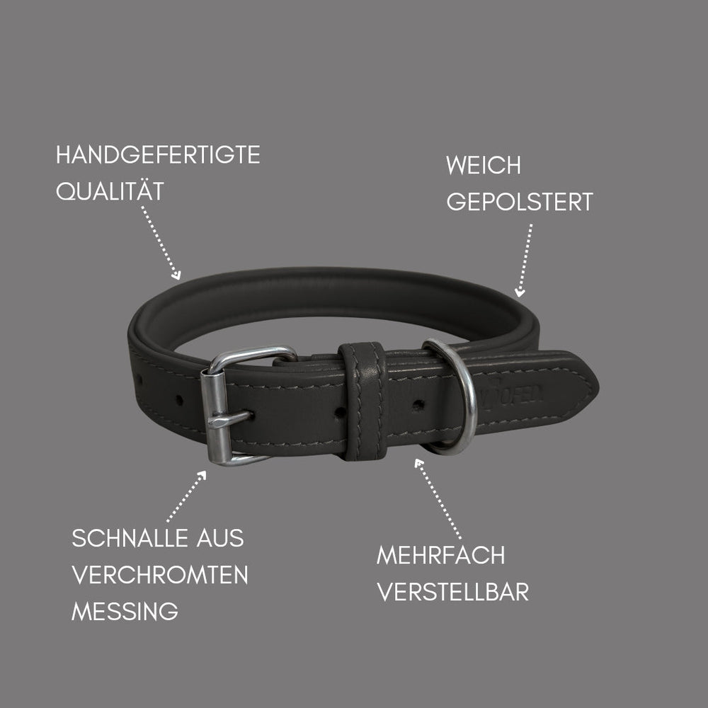 Schwarzes, handgefertigtes Lederhalsband für Hunde, weich gepolstert mit schnittfester Messingschnalle.