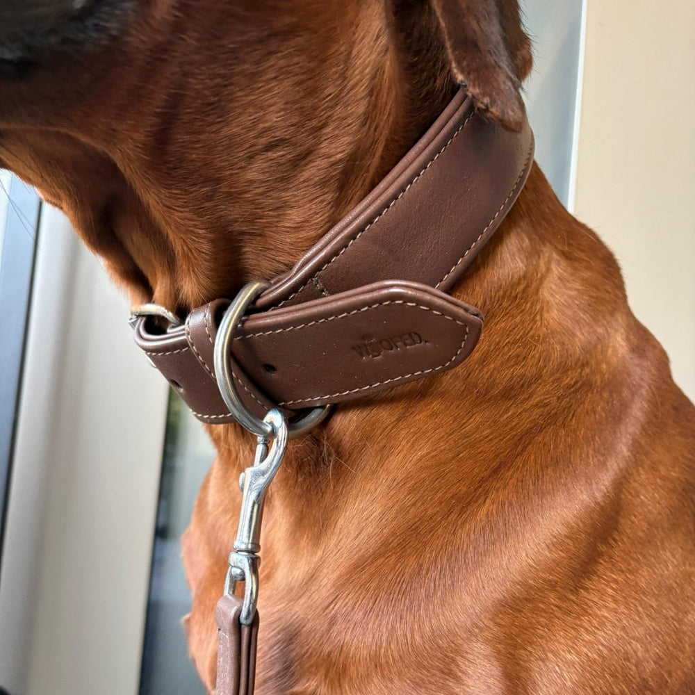 Braunes Lederhalsband Classic Soft für Hunde mit D-Ring zur Leinenbefestigung. Ideal für Spaziergänge und Alltag.