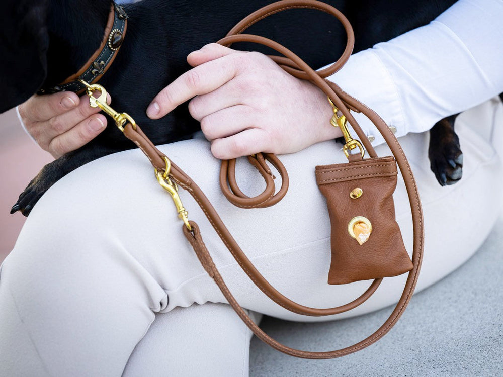 Braune Lederleine, rundgenäht, 2m, goldene Beschläge, im Einsatz beim Gassigehen mit einem Hund.