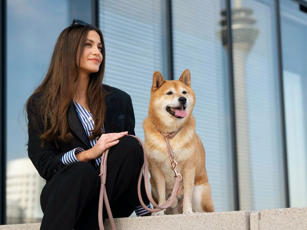 Frau mit braunen Haaren trägt ein schickes Outfit, sitzt neben einem freundlichen Shiba Inu vor modernen Gebäuden.