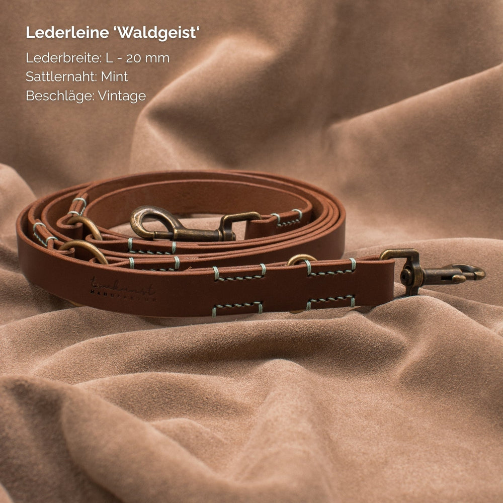 Lederleine "Waldgeist" mit 20 mm Breite, mintfarbener Sattelnaht und Vintage-Beschlägen für stilvolle Hundebesitzer.