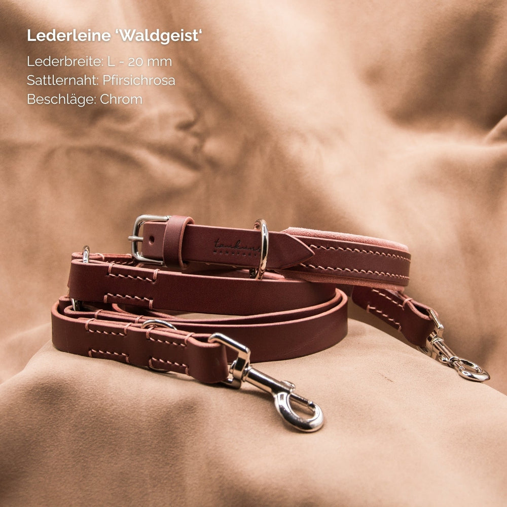 Lederleine "Waldgeist" in Pfirsichrosa mit 20 mm Breite und chromfarbenen Beschlägen, ideal für stilbewusste Hundebesitzer.