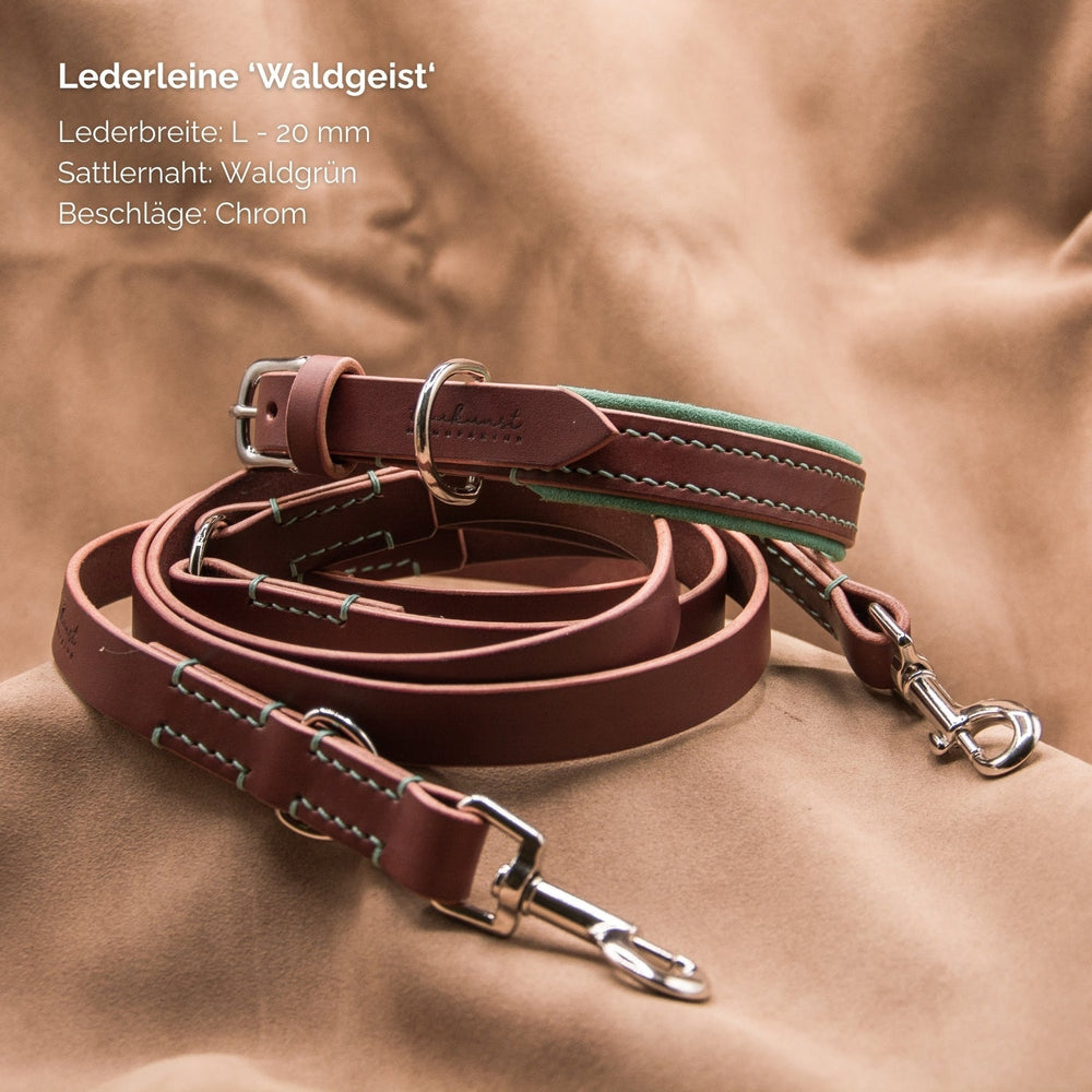 Lederleine Waldgeist in waldfarbenem Braun mit grünen Details und chromfarbenen Beschlägen, 20 mm breit.