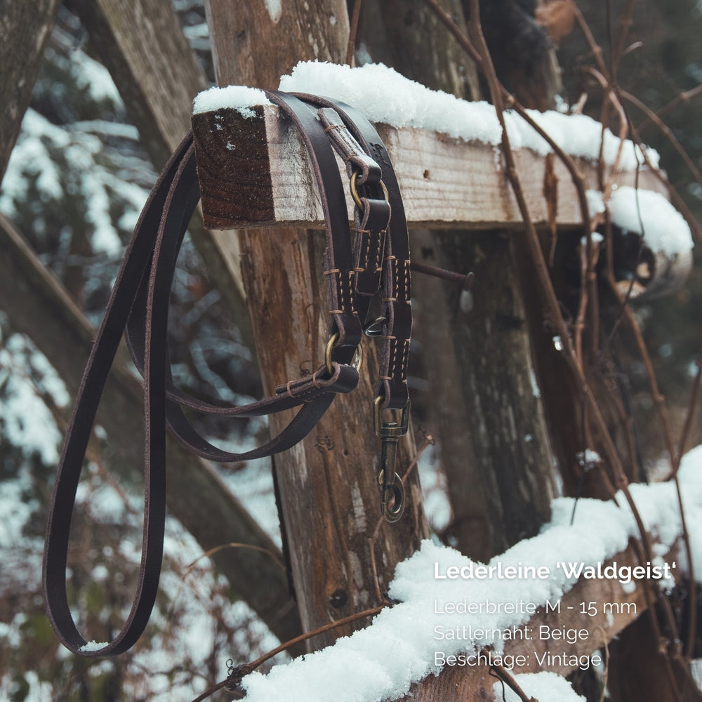 Braune Lederleine mit Vintage-Finish für mittelgroße Hunde, dekorativ an Holzbalken aufgehängt.