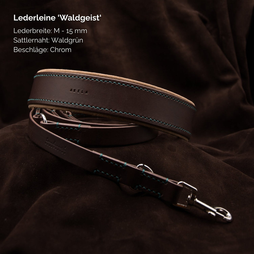 Lederleine "Waldgeist" in M, walnussbraun mit Waldgrün, 15 mm breit, ideal für stilvolle Hundebesitzer.