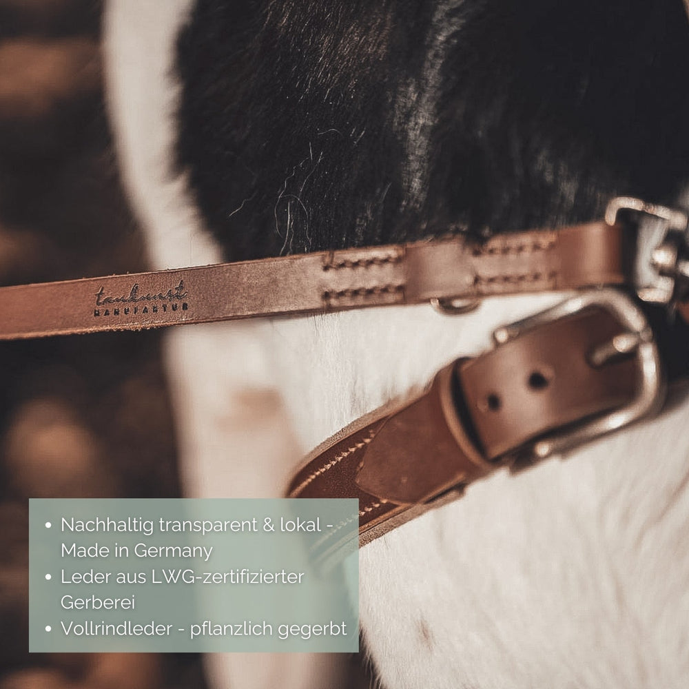Hochwertige Lederleine "Waldgeist" aus pflanzlich gegerbtem Vollrindsleder, nachhaltig in Deutschland hergestellt.