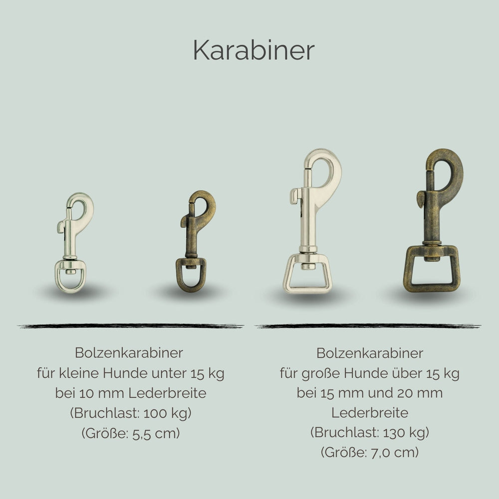Übersicht der verschiedenen Karabinerhaken für Hunde, geeignet für kleine und große Tiere, aus strapazierfähigem Material.