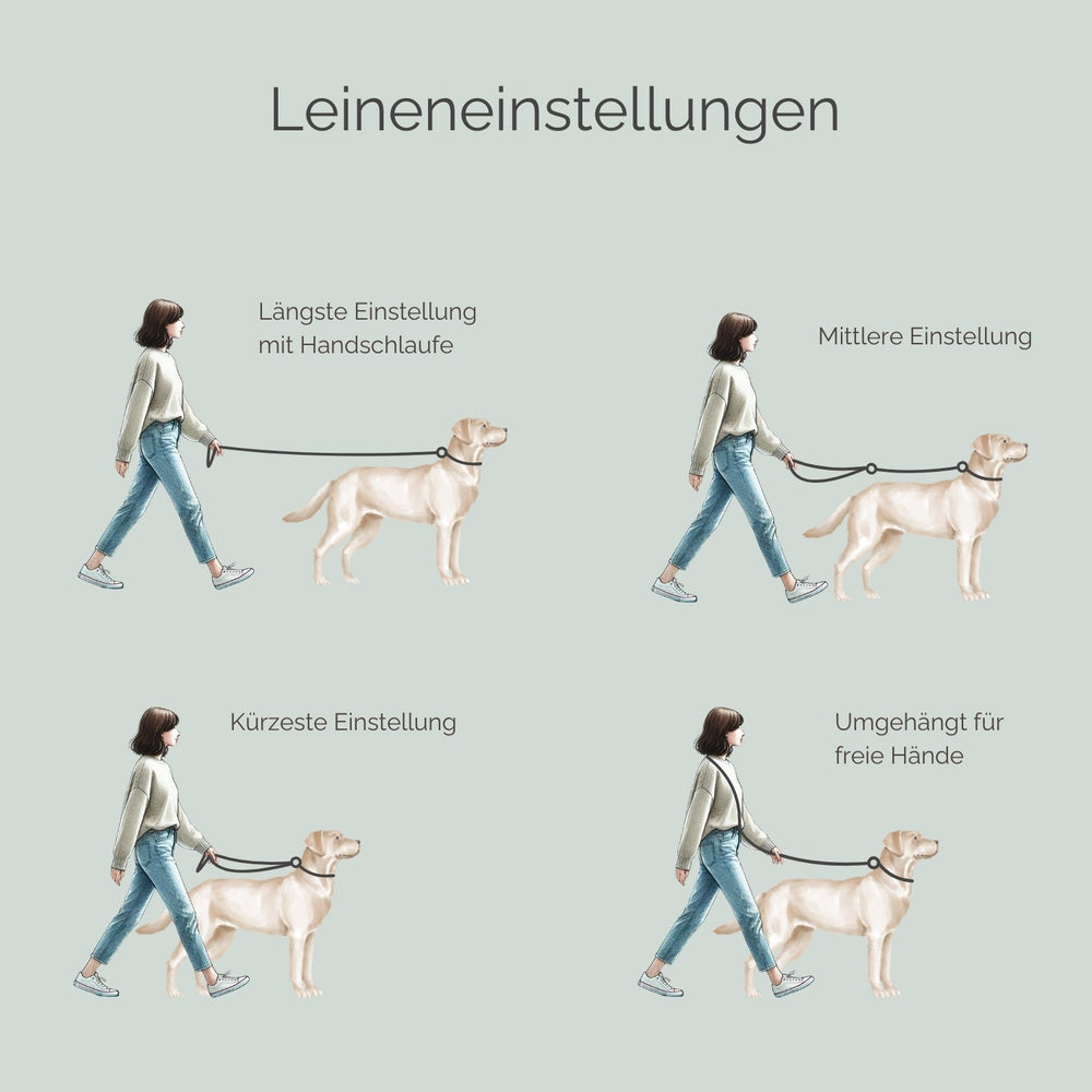 Anleitung zur Anpassung der Wildlederleine Wildfang in vier Positionen für optimale Hundekontrolle.